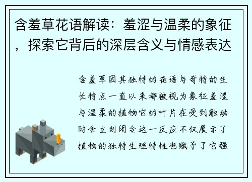 含羞草花语解读：羞涩与温柔的象征，探索它背后的深层含义与情感表达